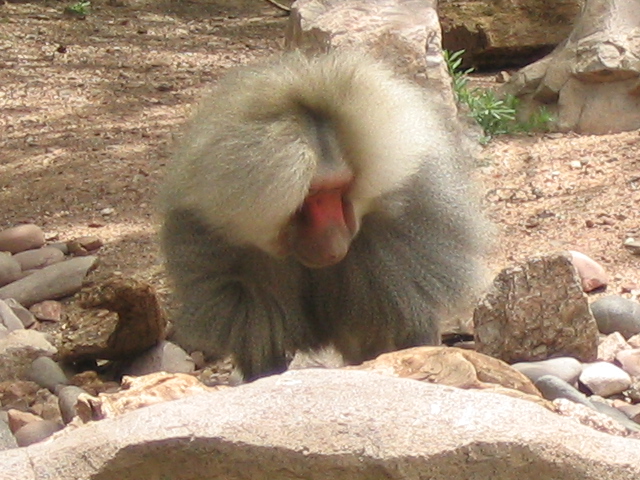 618x457 pixels (204K)